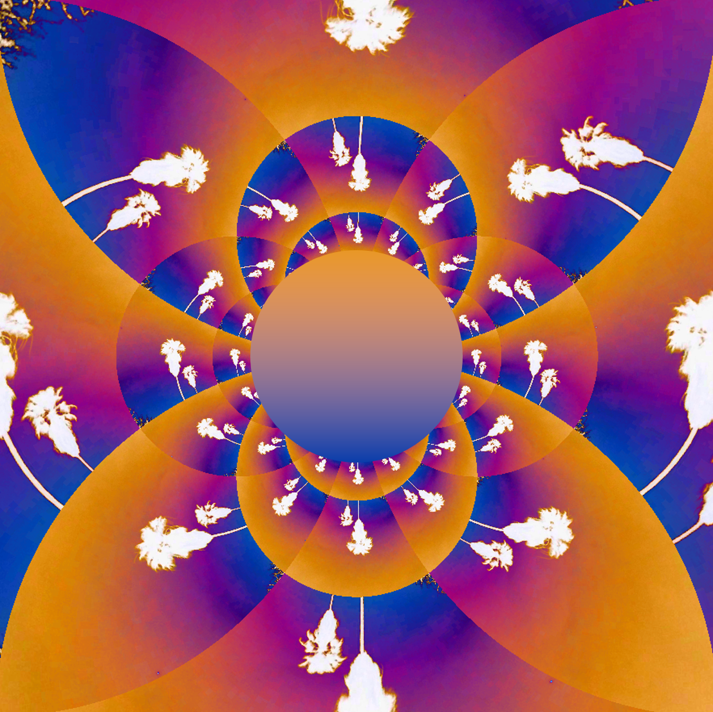 unrequited affection